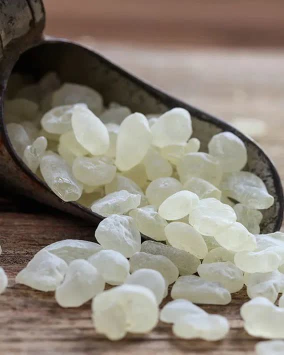 Pale, translucent tears of mastic resin spilling from a metal scoop onto a wooden bench.